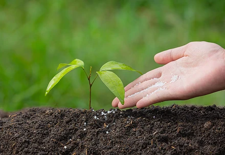 3D U-Panel FIBC Bag Illustration